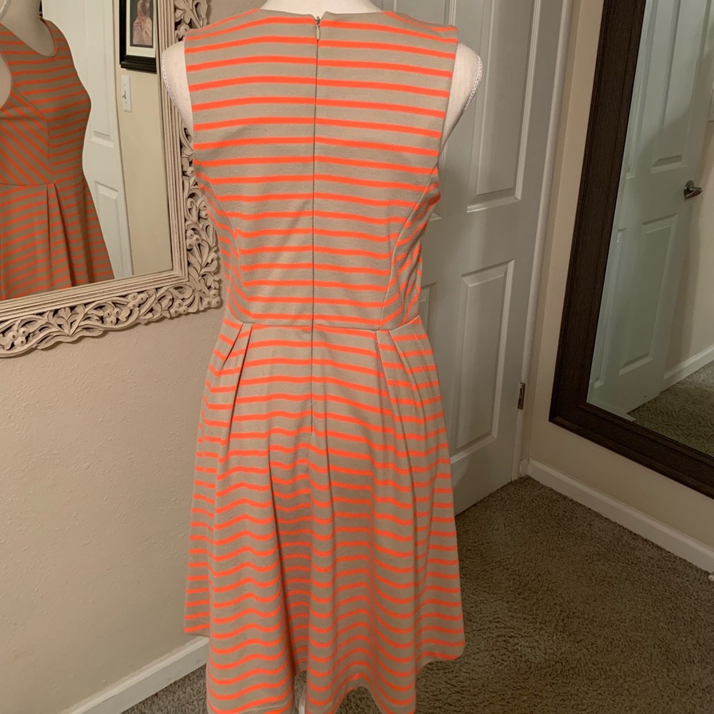 Neutral/Neon Fit and Flare 👗